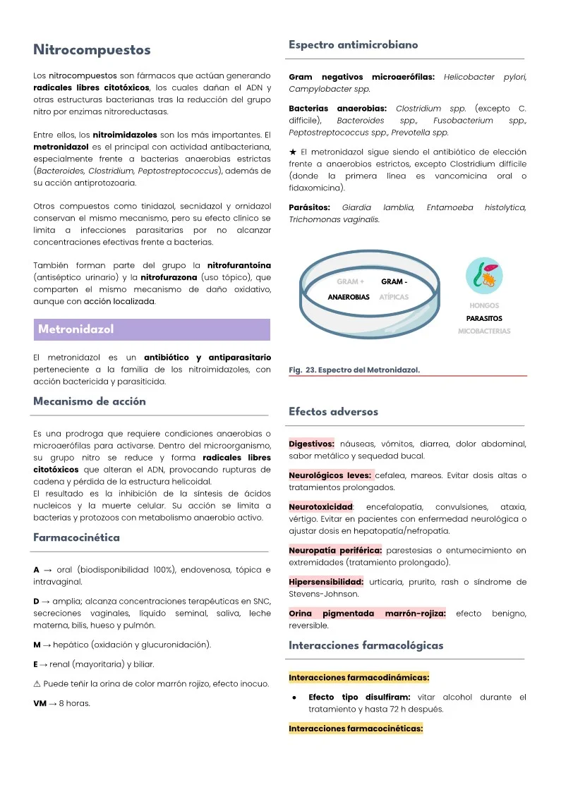 ANT 4